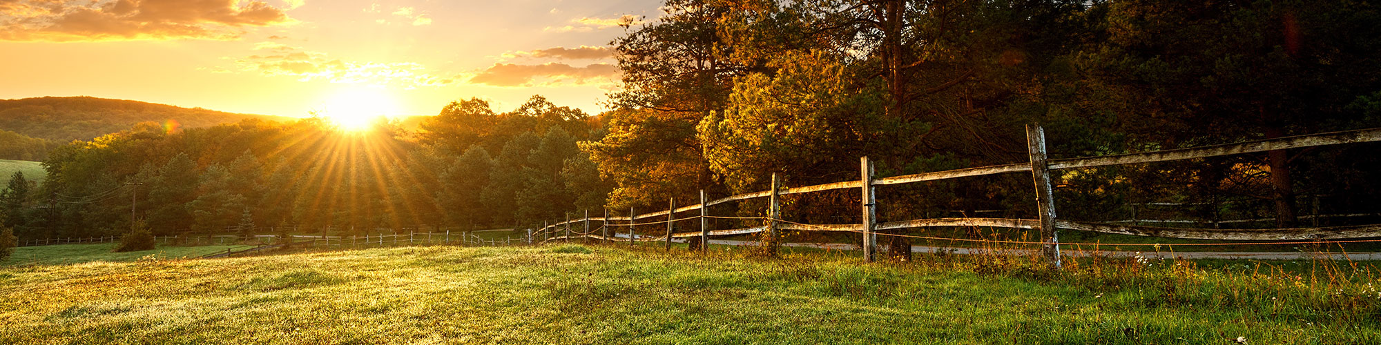 Field and Sunrise